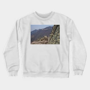 850_0589 Crewneck Sweatshirt